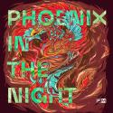 Phoenix In The Night (Original Mix)