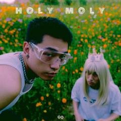holy moly (伴奏)