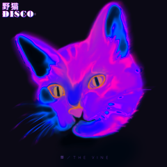 野猫DISCO (伴奏)