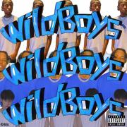 Wild Boys（狂躁男孩）