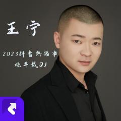 王宁2023抖音串烧车载DJ