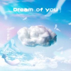 Dream Of You (伴奏)