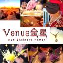 Venus金星