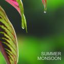 Summer Monsoon